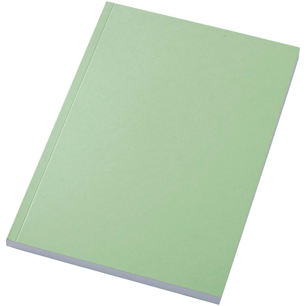 Scribe A5 recyceltes Sofcover Notizbuch - grün